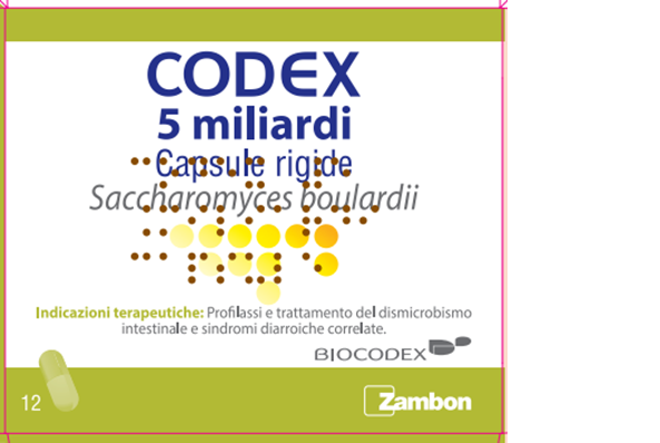 CODEX*12CPS 5MLD 250MG - farmacia015