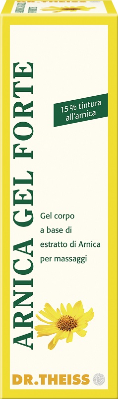 THEISS ARNICA GEL FORTE 100 ML - farmacia015