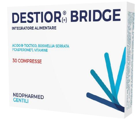 DESTIOR BRIDGE 30 COMPRESSE - farmacia015