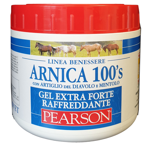 ARNICA 100'S EXTRA FORTE 500 ML - farmacia015
